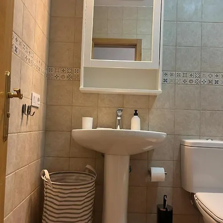 Flora Puerto del Rosario (Fuerteventura)